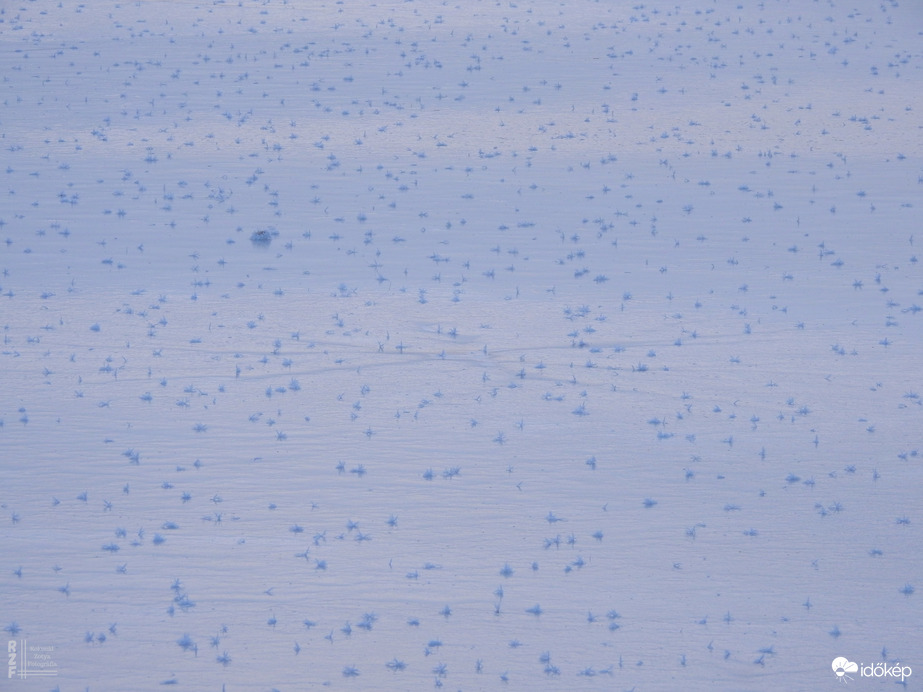 Nem mindennapi fagyvirágok nyílnak a Kis-Tiszán