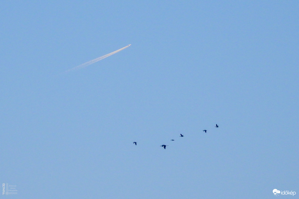 Több százezer daru vonulását figyeltem a Hortobágyon