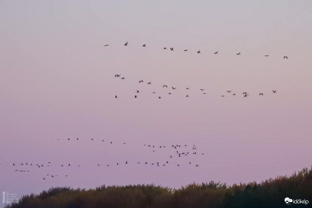 Több százezer daru vonulását figyeltem a Hortobágyon