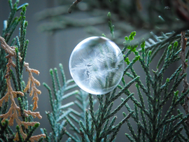 A tél álma egy buborékban