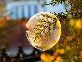 A tél álma egy buborékban