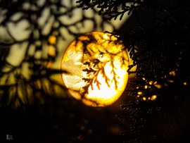 A tél álma egy buborékban