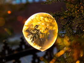 A tél álma egy buborékban