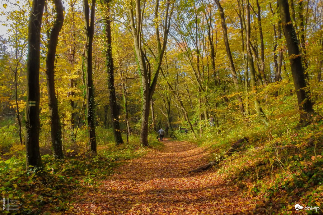 A szabadság színei a Bükkben