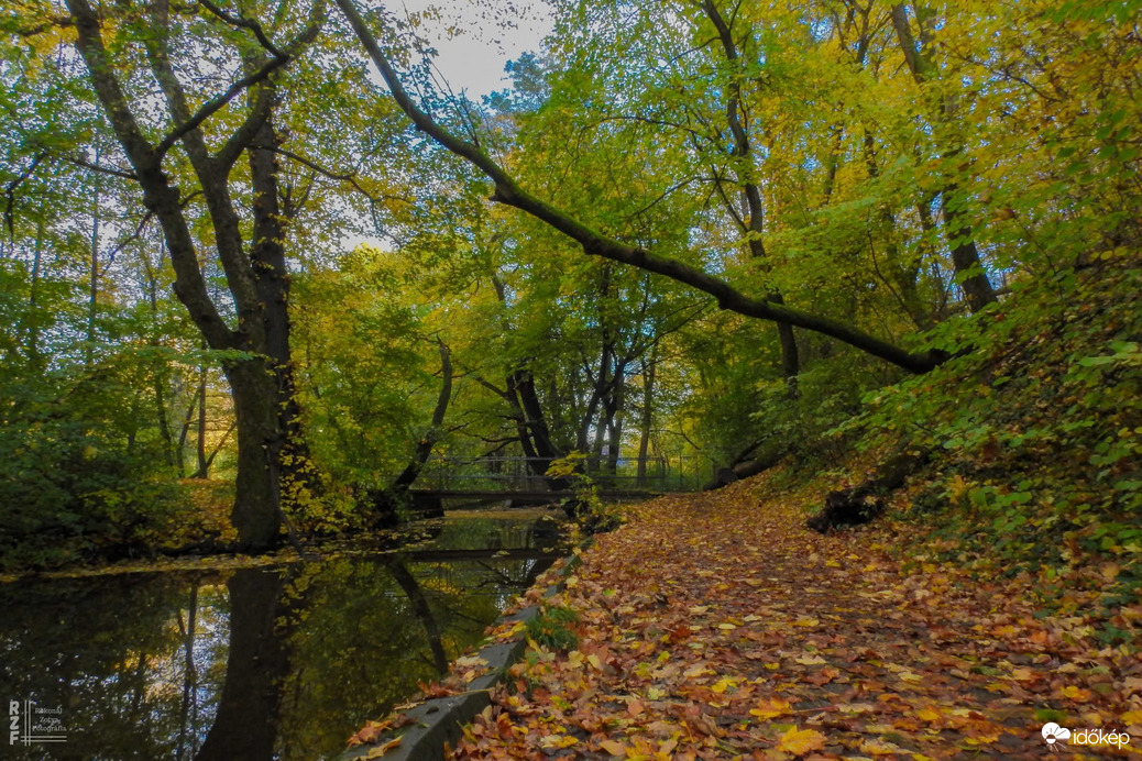 A szabadság színei a Bükkben