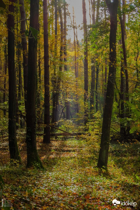 A szabadság színei a Bükkben