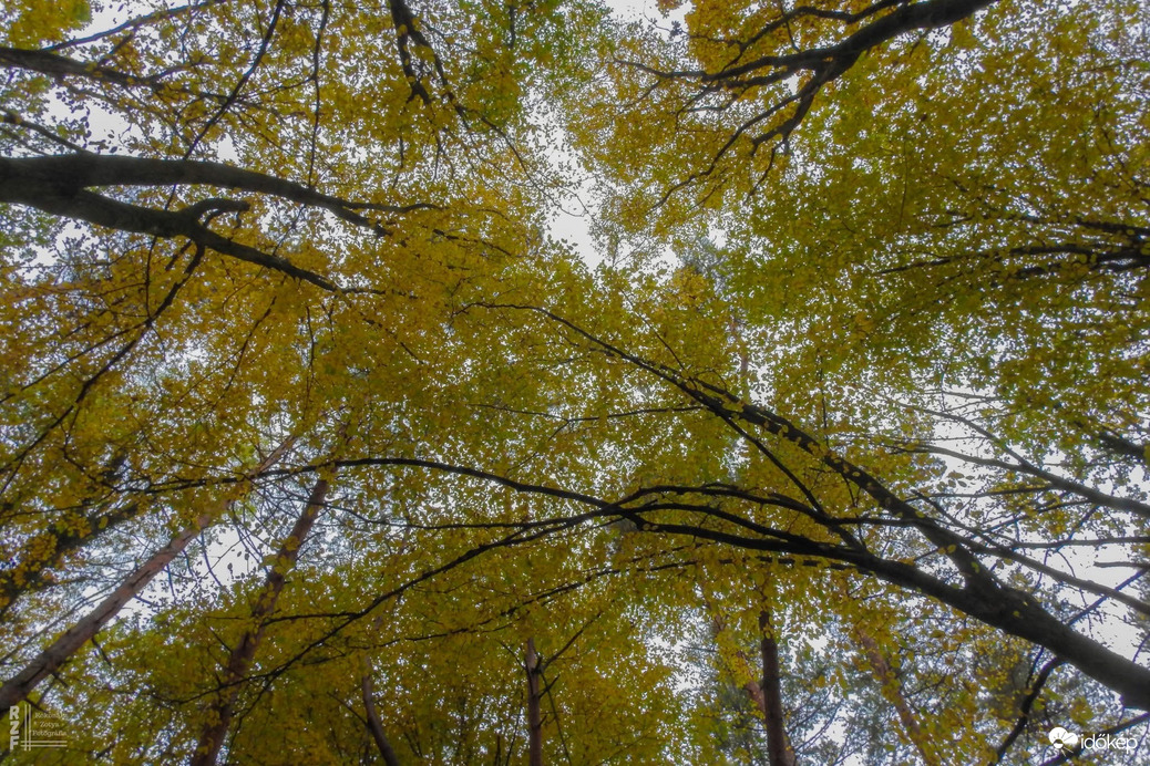 A szabadság színei a Bükkben