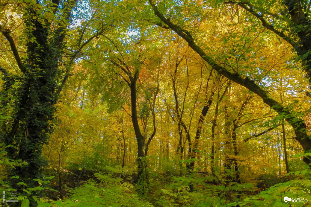 A szabadság színei a Bükkben