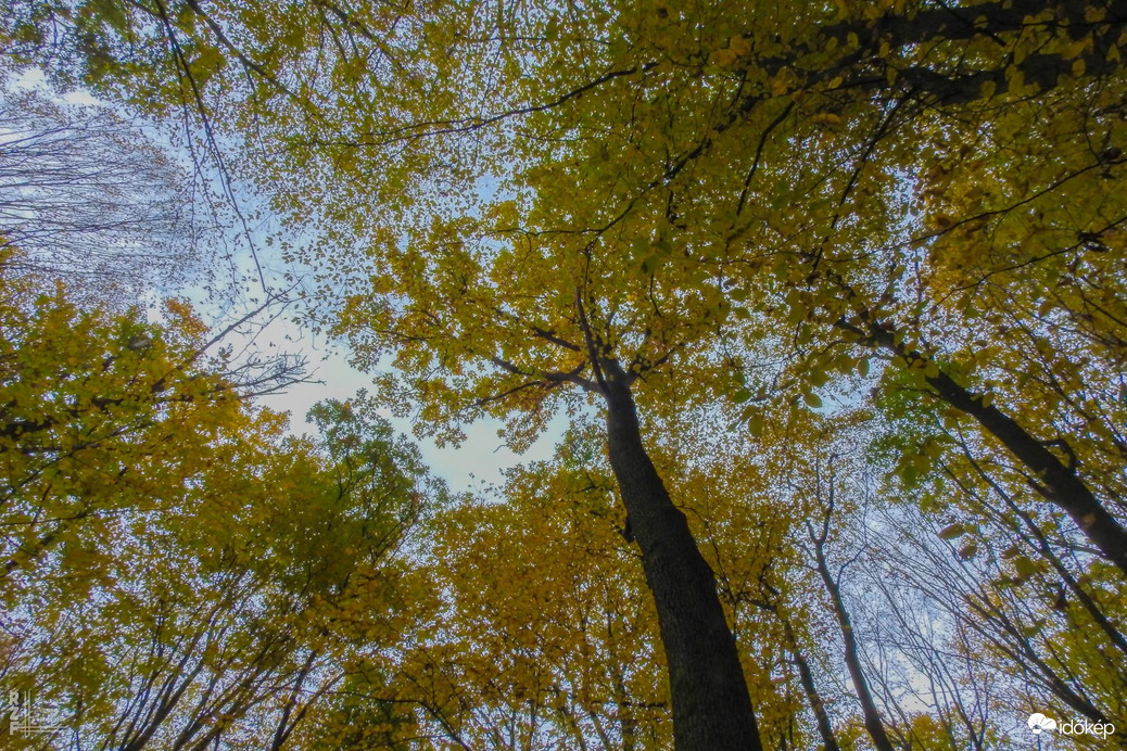 A szabadság színei a Bükkben