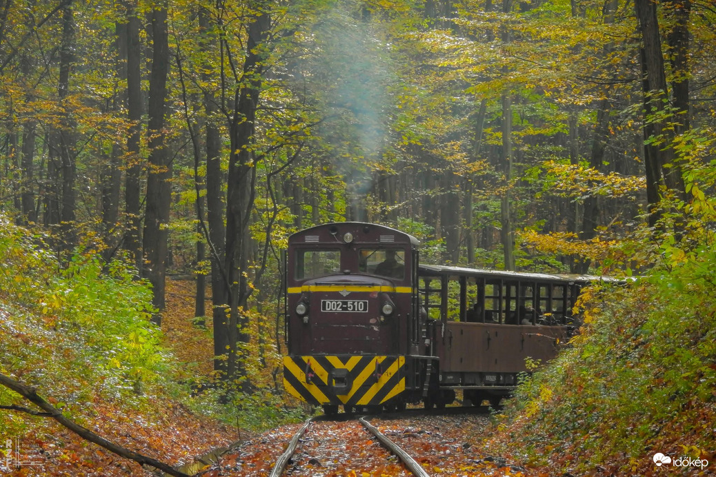 Kisvasút, nagy gesztus