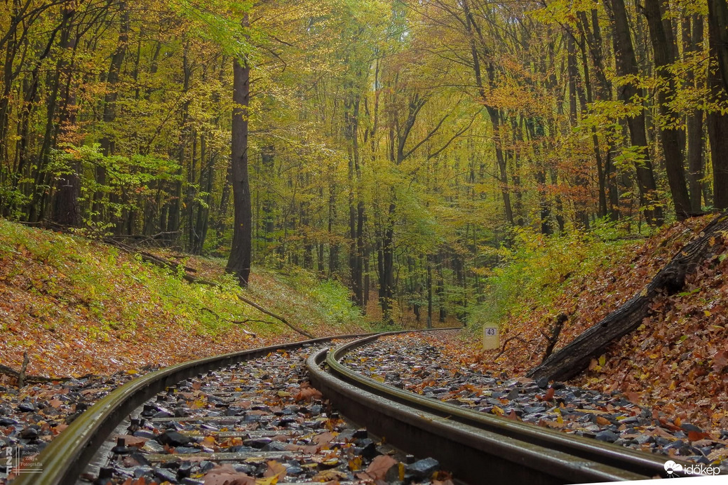 Kisvasút, nagy gesztus