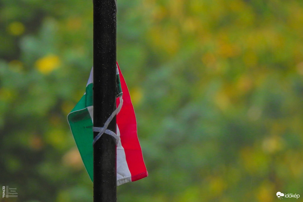 Kisvasút, nagy gesztus