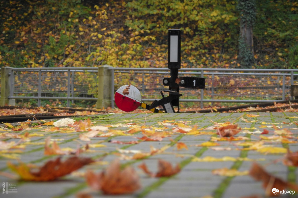 Kisvasút, nagy gesztus