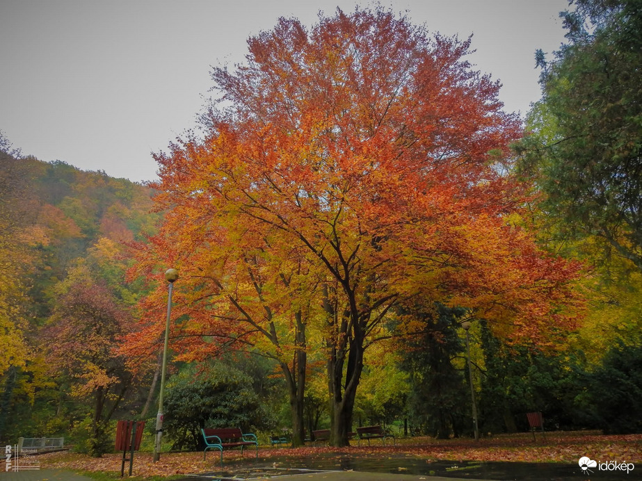 Kisvasút, nagy gesztus