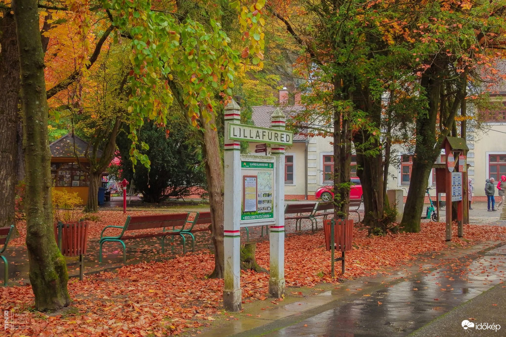 Kisvasút, nagy gesztus