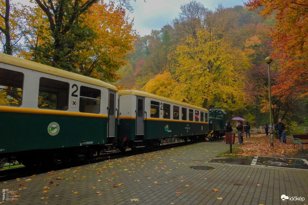 Kisvasút, nagy gesztus