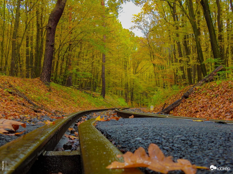 Kisvasút, nagy gesztus