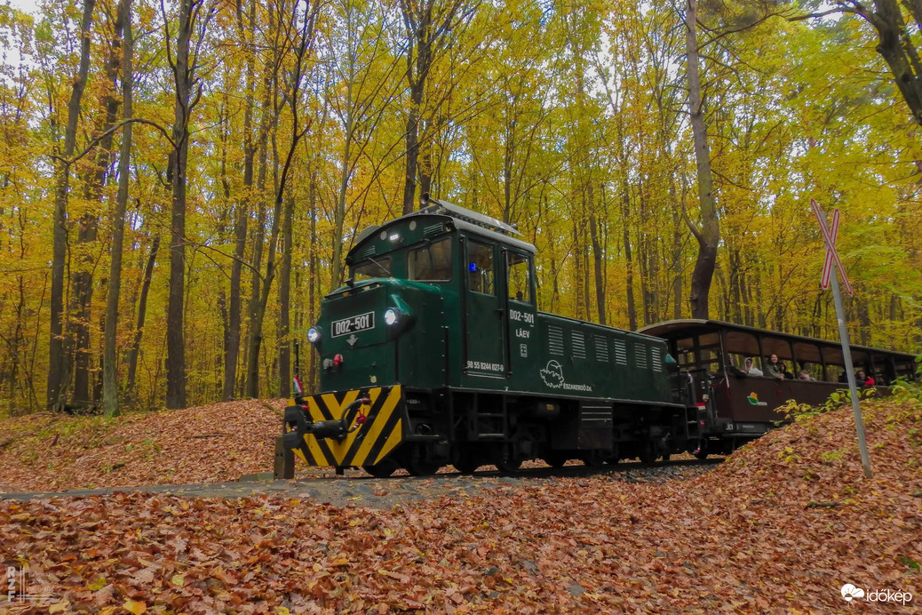 Kisvasút, nagy gesztus