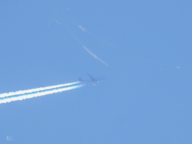 A repülő és az ökörnyál találkozása a kései indián nyáron