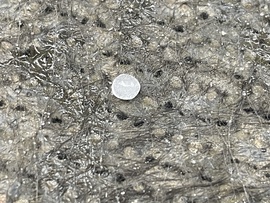 Tiszalök