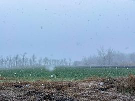 Holle anyó megrázta a dunyháját Tiszalökön 