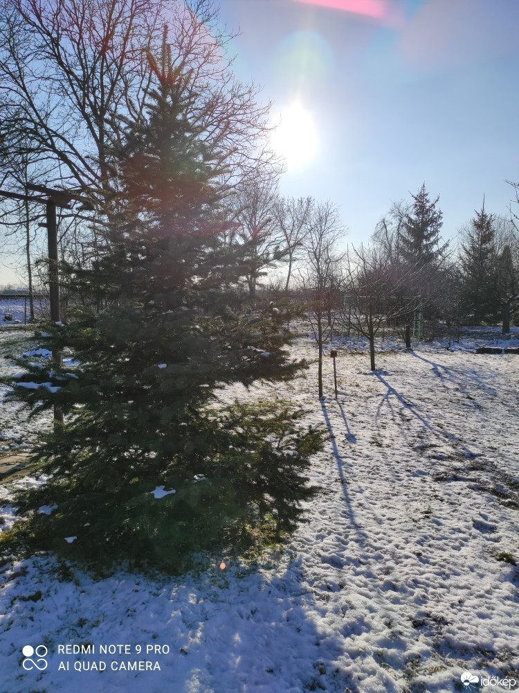 Észlelési fényképek