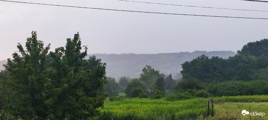 Tényő