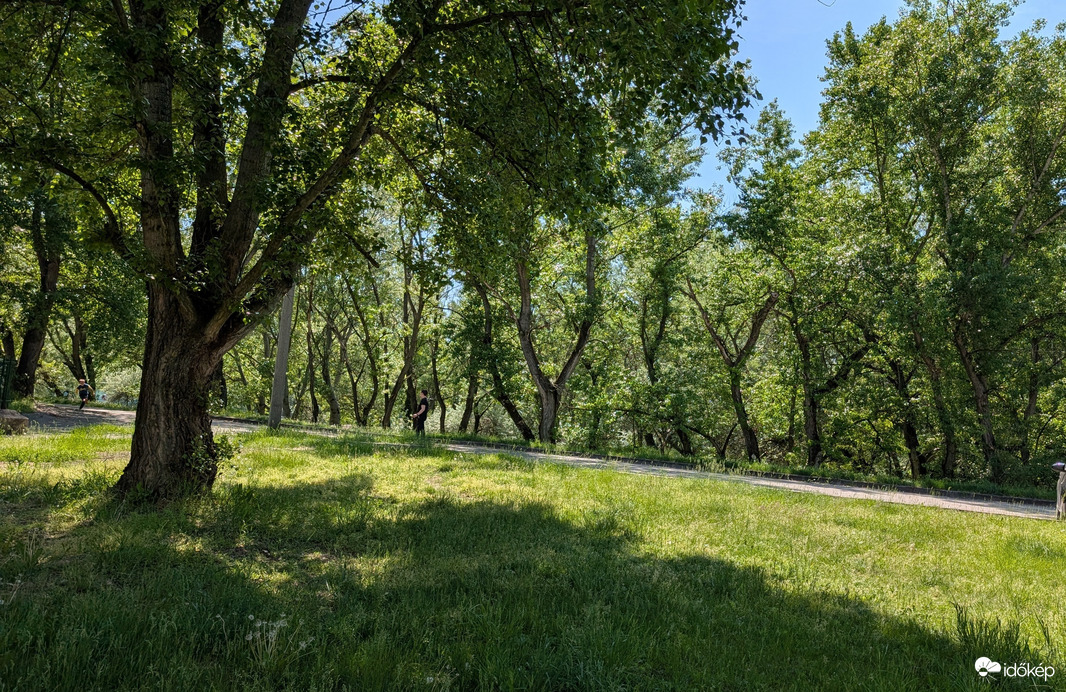 Nyergesújfalu