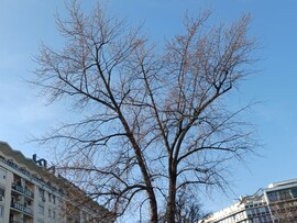 Budapest XI.ker - Szentimreváros
