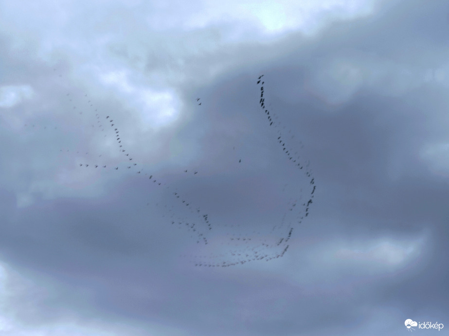 Észlelési fényképek