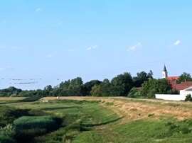 Jászjákóhalma