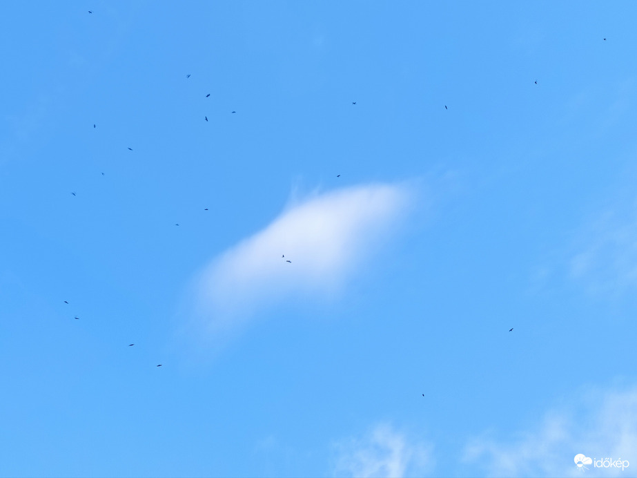 Észlelési fényképek