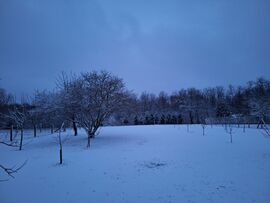 Fotó: Biczó Bettina (Őrség)