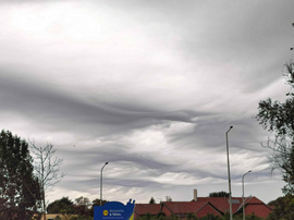 Undulatus asperatus