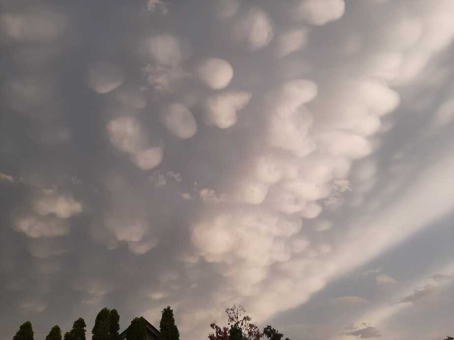 Kovács Róbert fotója