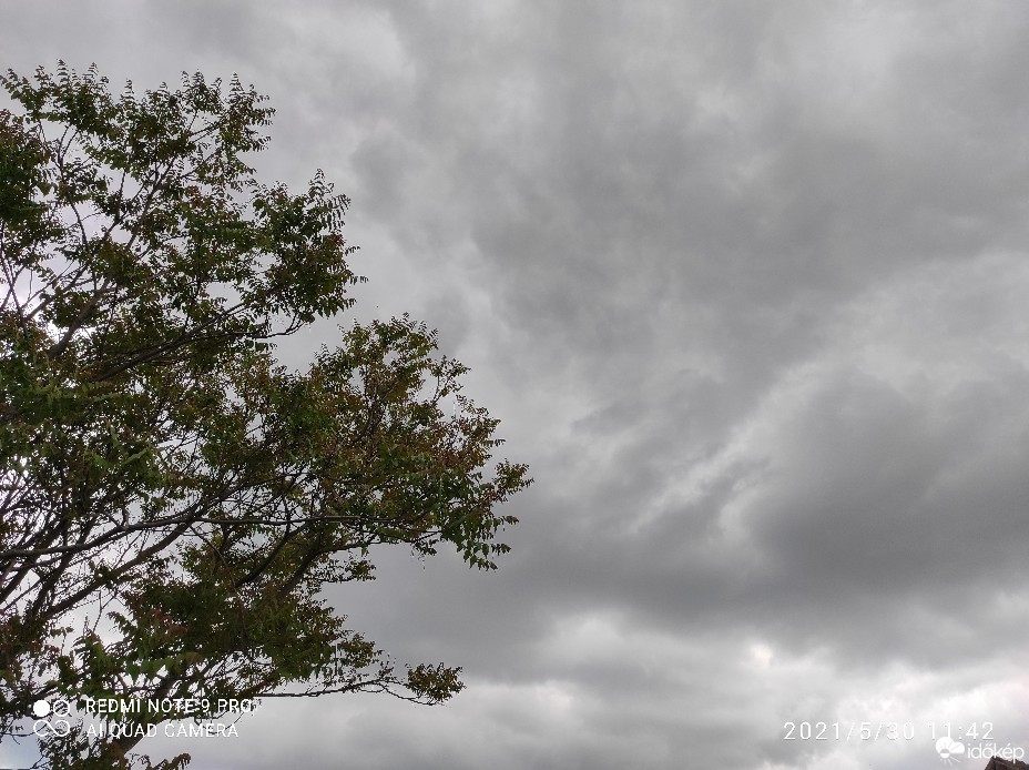 Észlelési fényképek