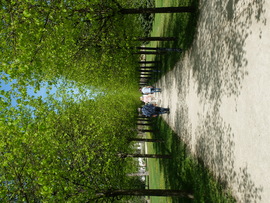 Gödöllő kastélypark