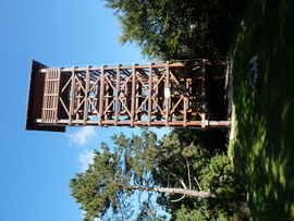 Zalai dombok és erdők