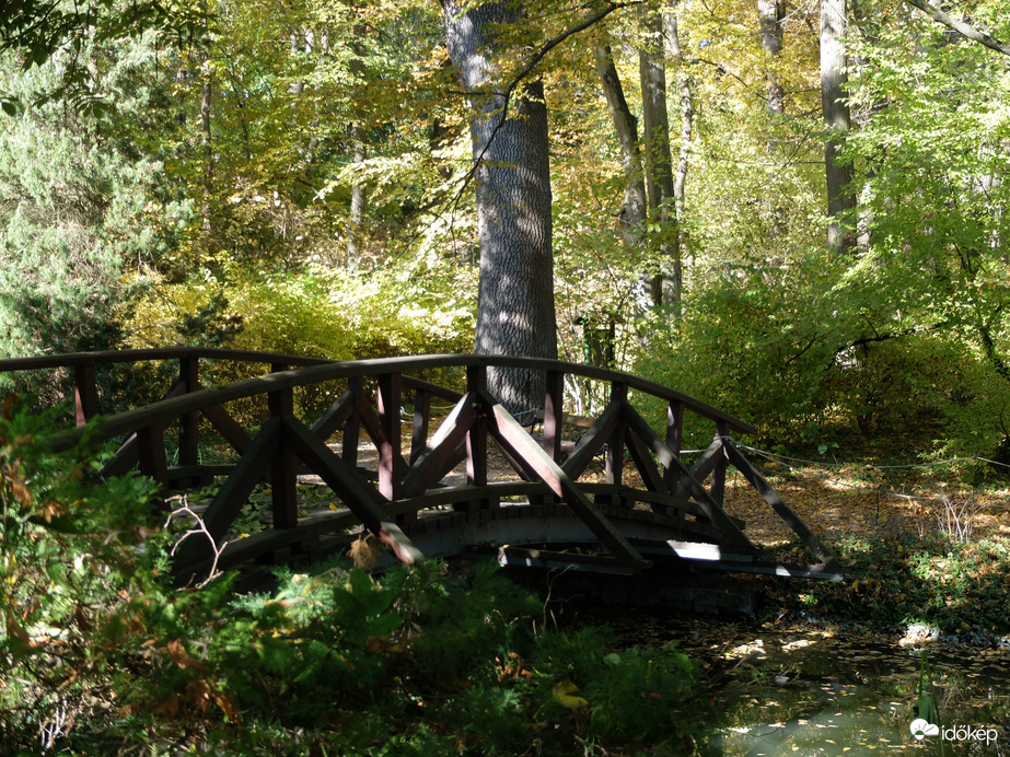 Vácrátót arborétum