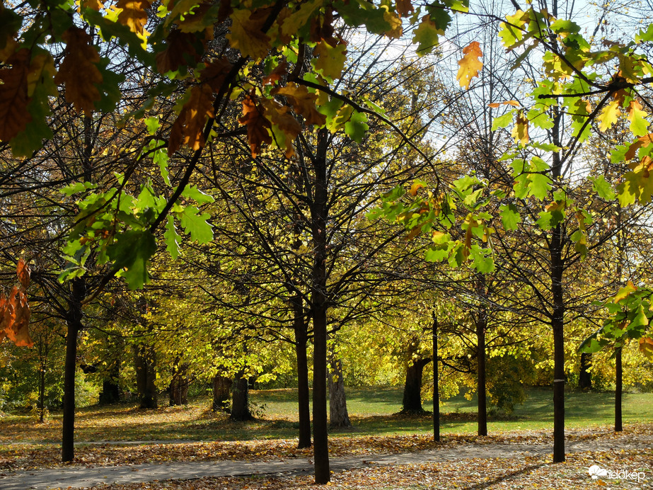 Gödöllő Kastélypark