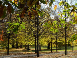 Gödöllő Kastélypark