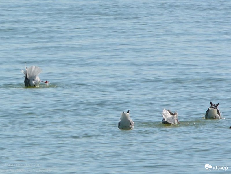 Struccpolitika a vízen
