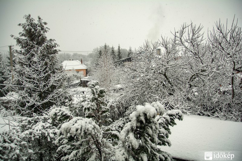 Debrőd