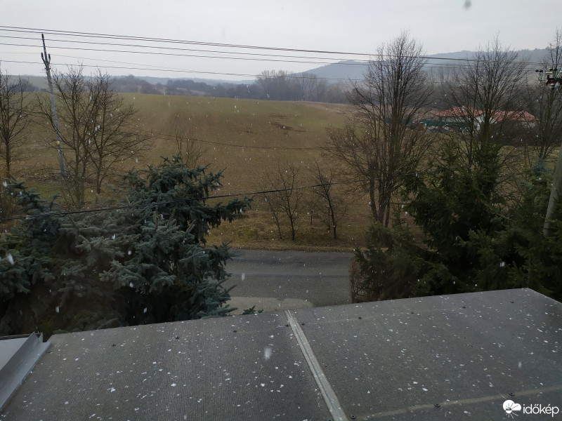 Debrőd