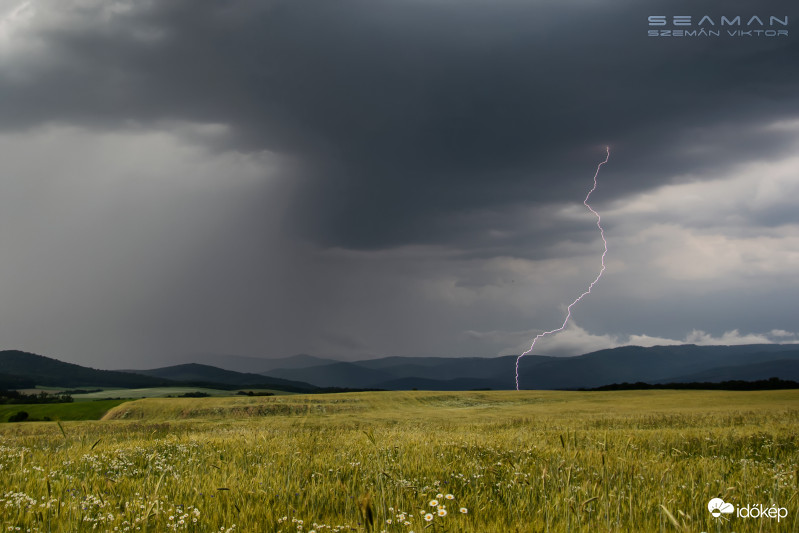 Debrőd 2019.6.16.