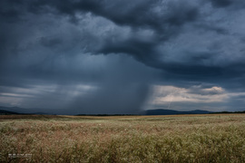 Debrőd 2024.07.14.