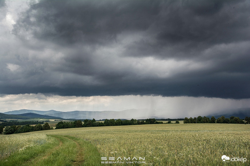 Debrőd 2018.6.11.