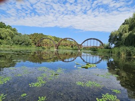 Kis- Balaton