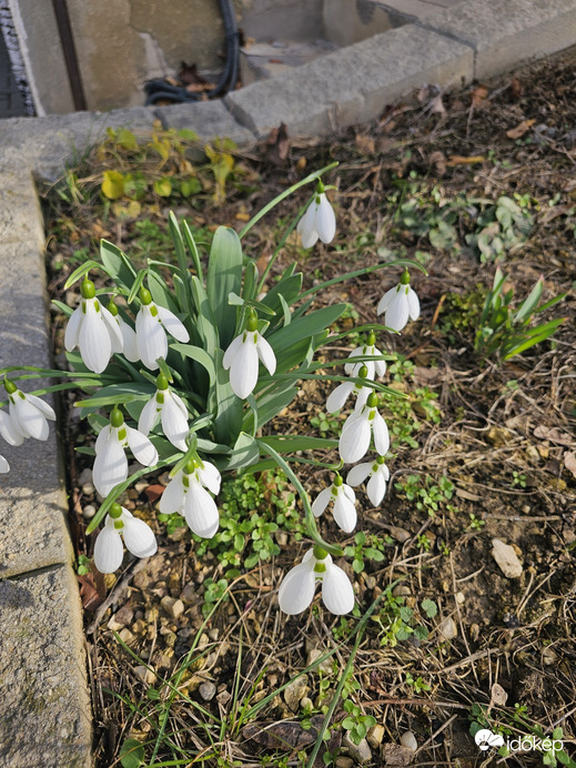 Budapest I.ker - Tabán