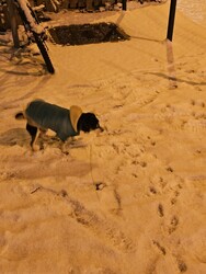 Budapest XIII.ker - Újlipótváros